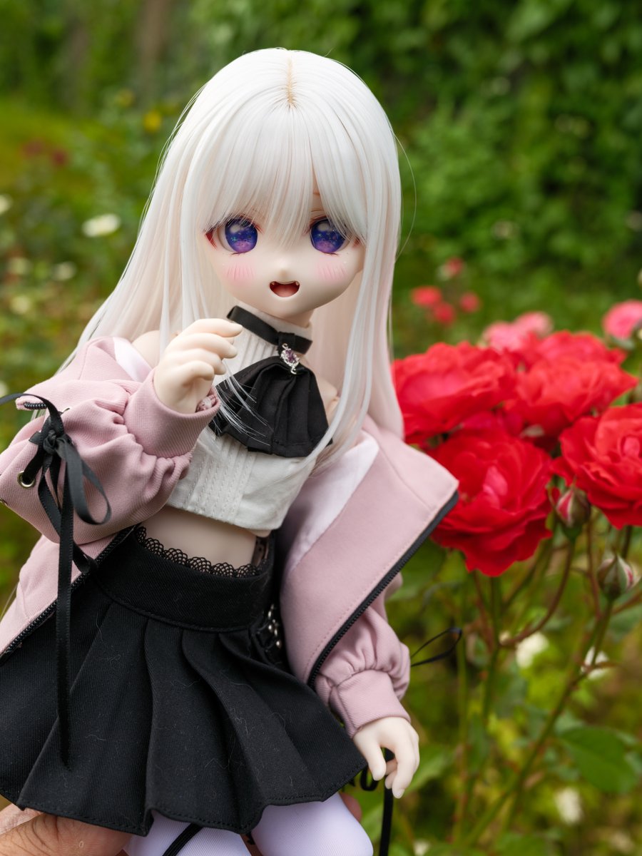 アヤ・レイ(ΦωΦ) tweet media