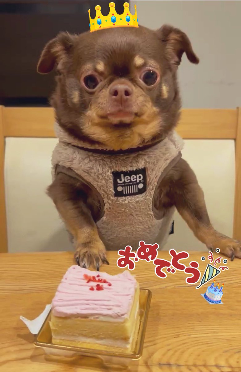 marmar🎹 tweet media