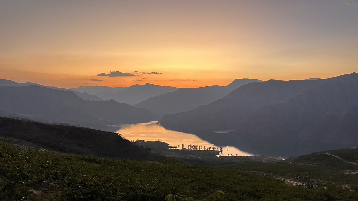 Overseas纵横四海 tweet media