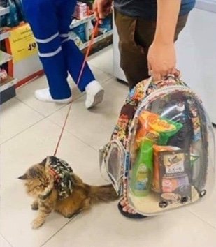 민주🇰🇷 tweet media