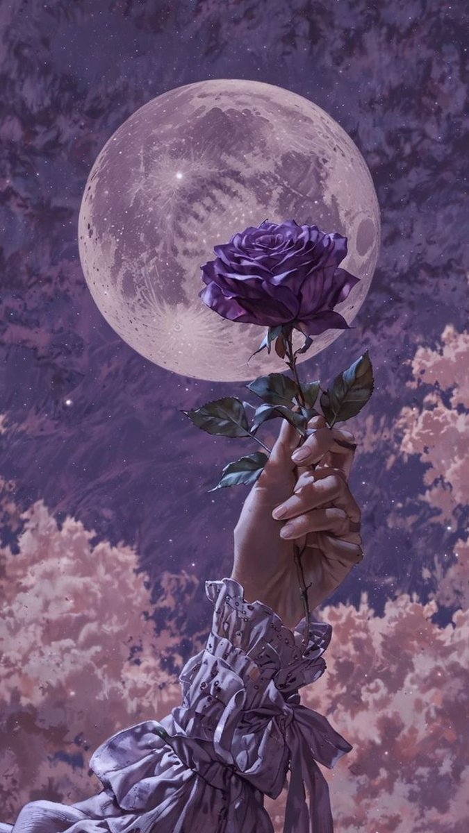 愛 • Hɑe Sσσ𑁤 tweet media