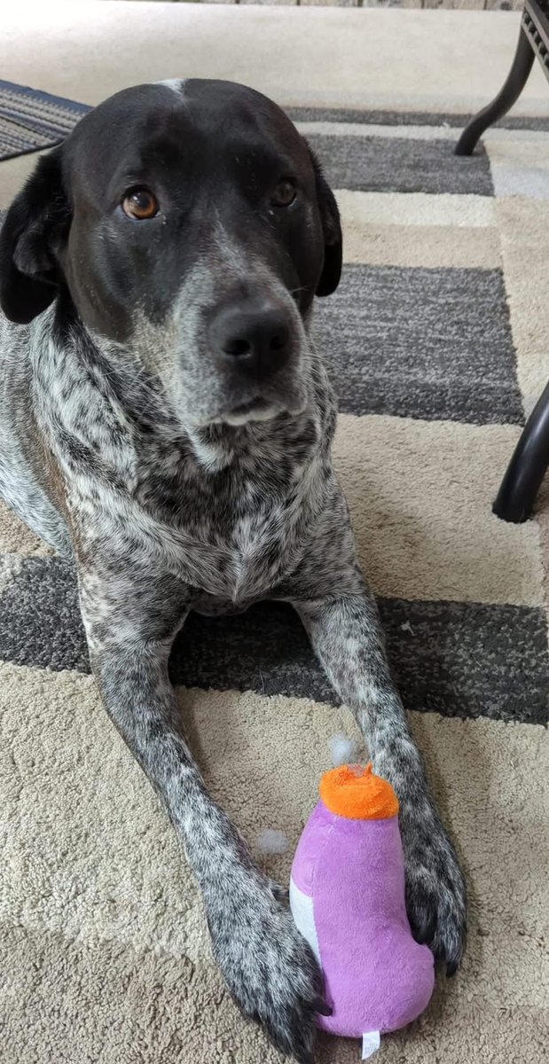 Mavis L Wanczyk tweet media