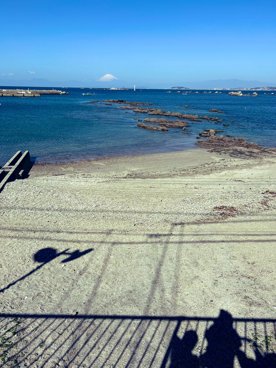 もちづき まりも tweet media