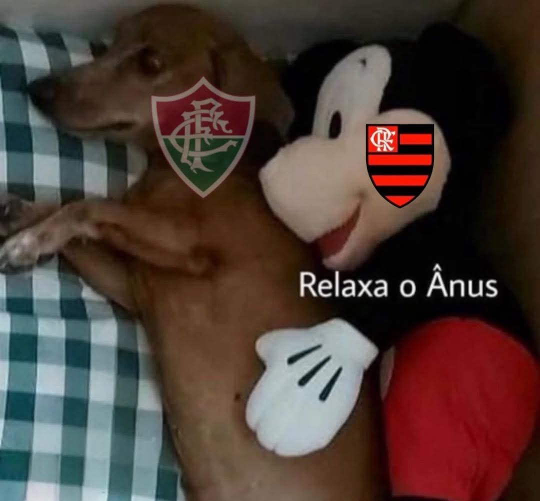 Patrick Raposo tweet media