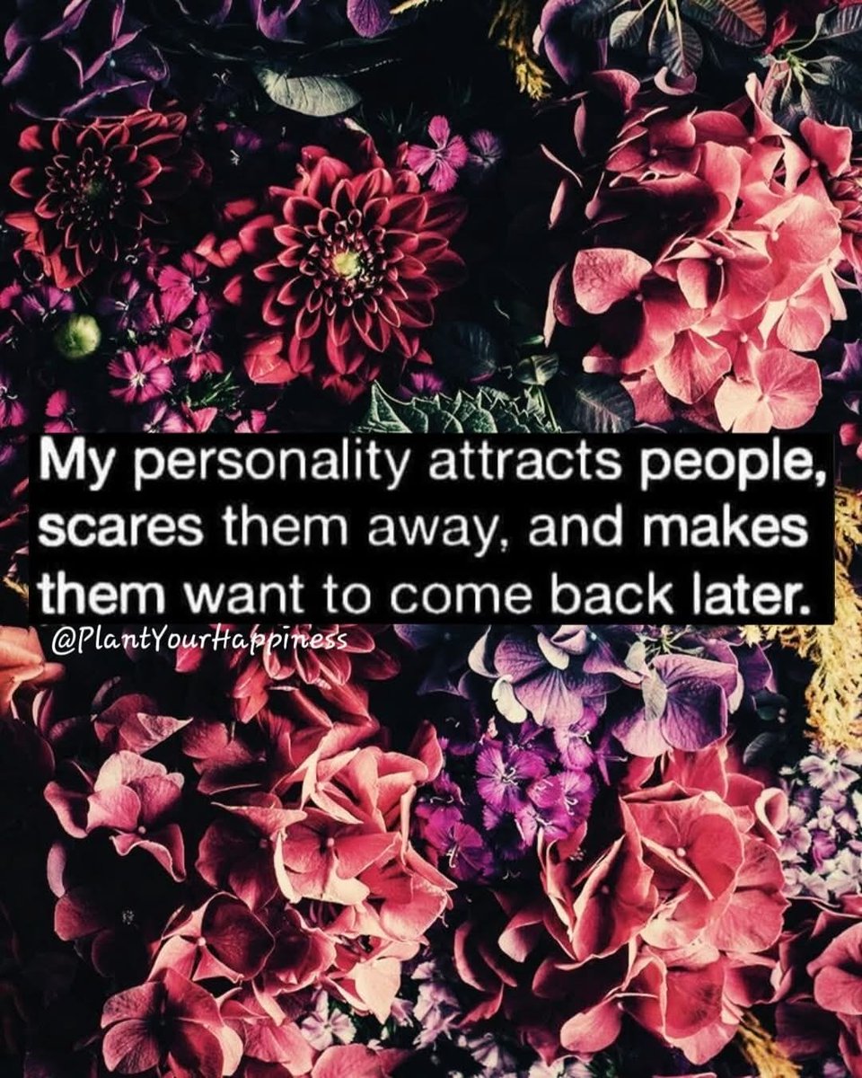 NotReallyStacy tweet media