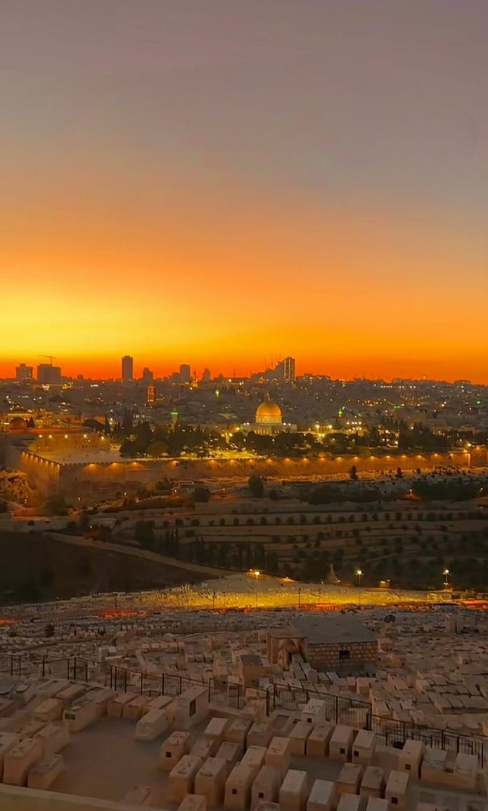 beautiful Arab tweet media