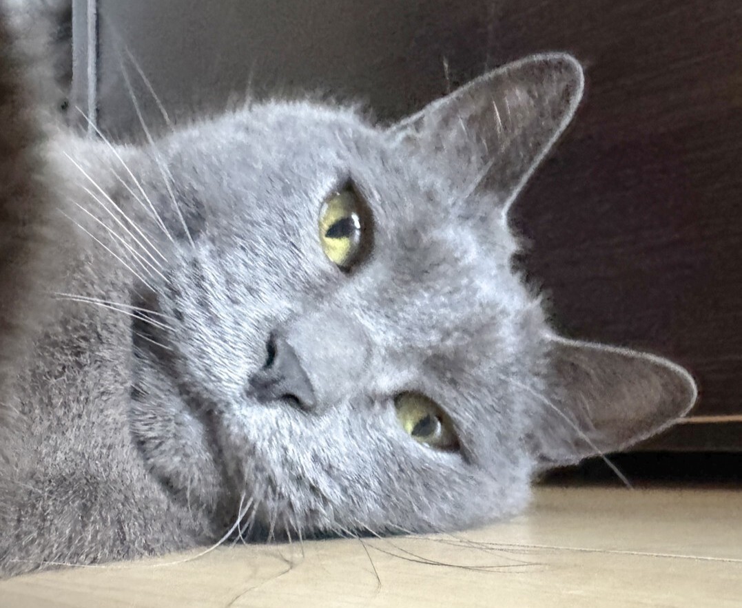 日動工業株式会社【公式】 tweet media