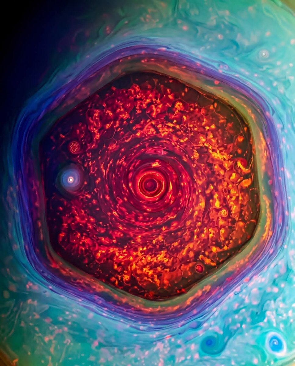 Black Hole tweet media