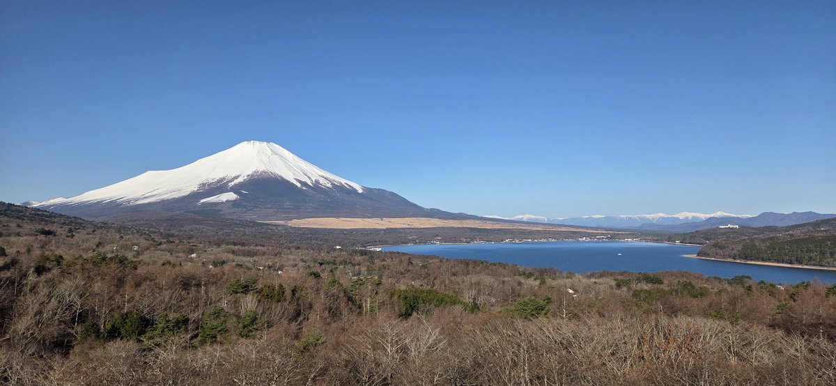 Alternative991 tweet media