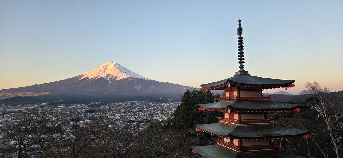 Alternative991 tweet media