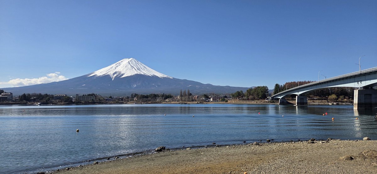 Alternative991 tweet media