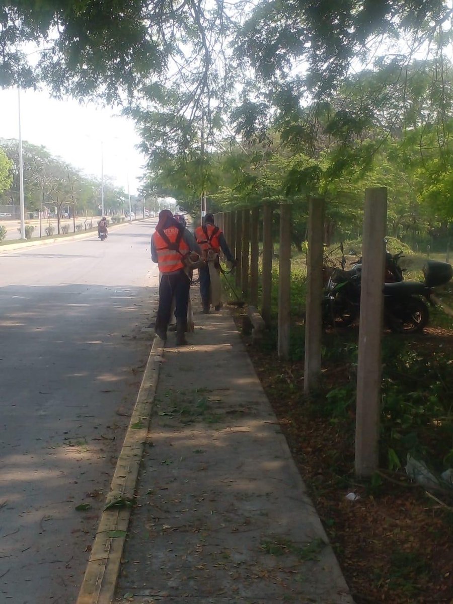 Ayuntamiento de Centro tweet media