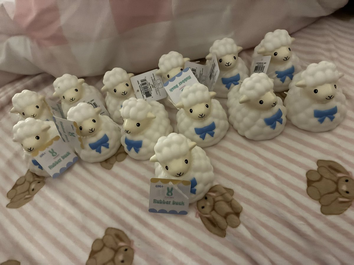 sheepo 🍰 mundiemaxxing tweet media