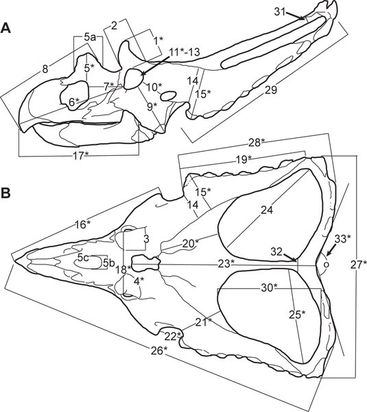 Dani Barrera Guevara tweet media