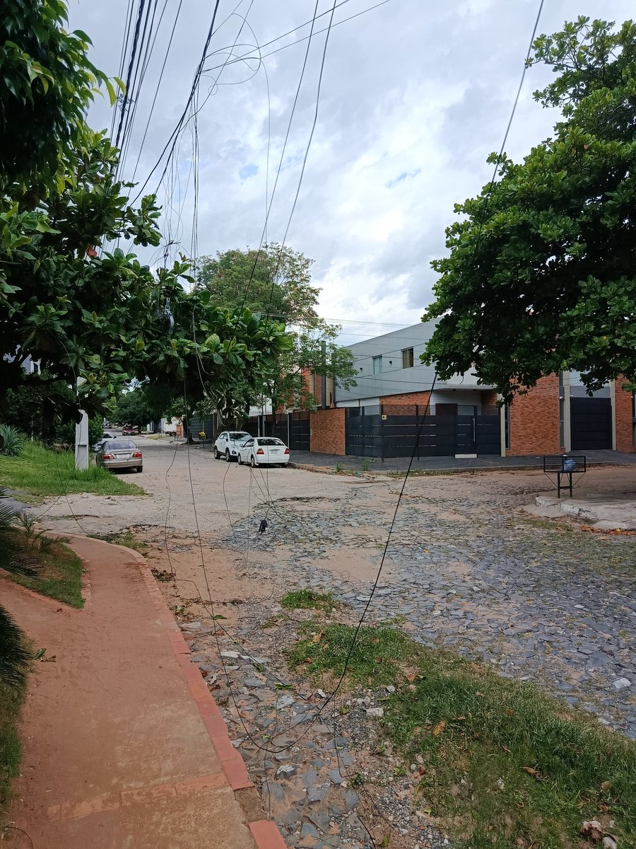 Gunter Krone tweet media