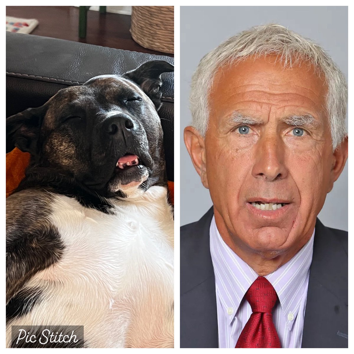 Happy #NationalPuppyDay!