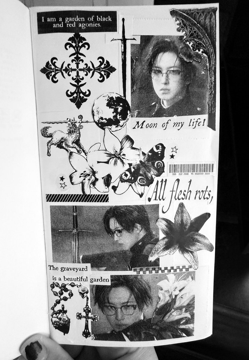 shelby 💫 tweet media