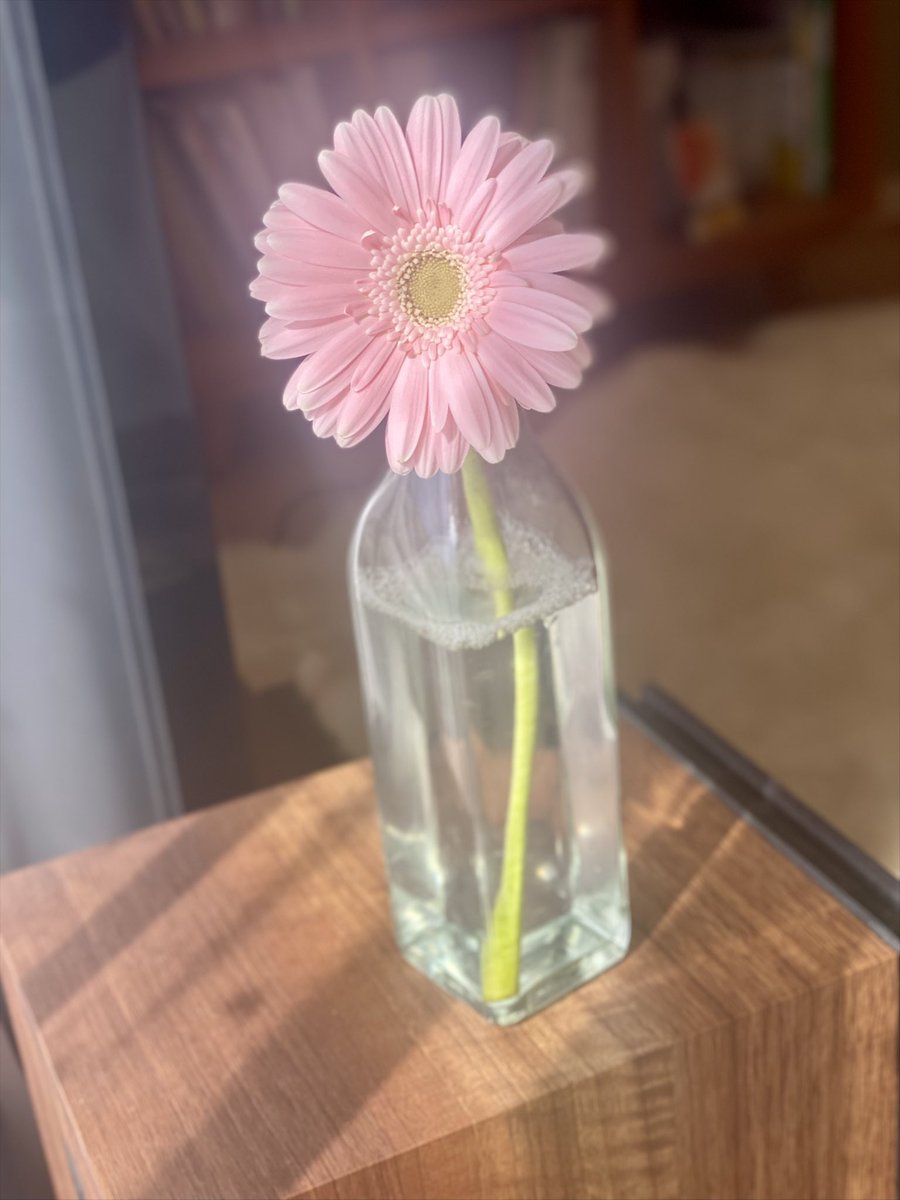 亜ノあこ🦄5/2CDリリース tweet media