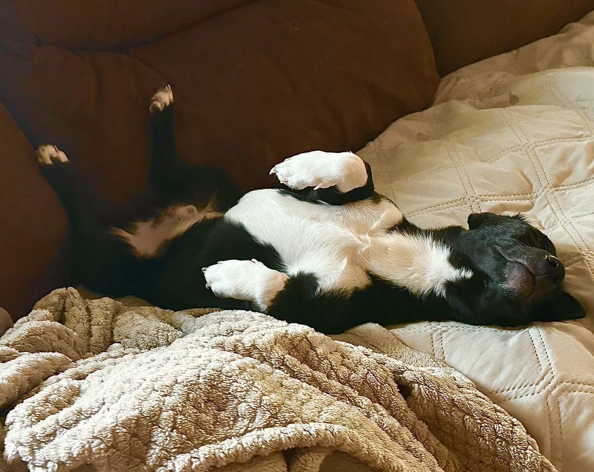 j u l i e tweet media