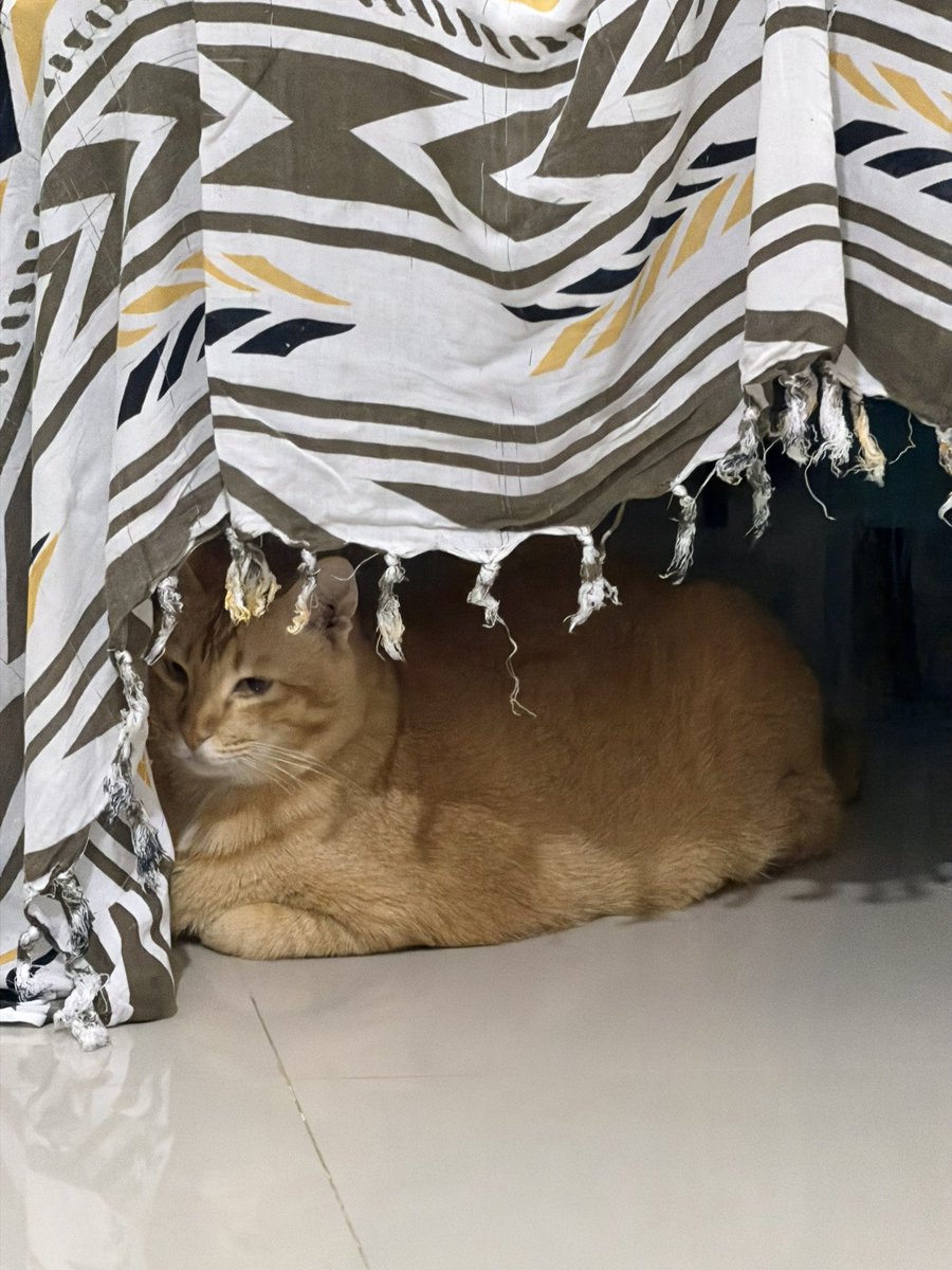 Simba Saekkiya tweet media