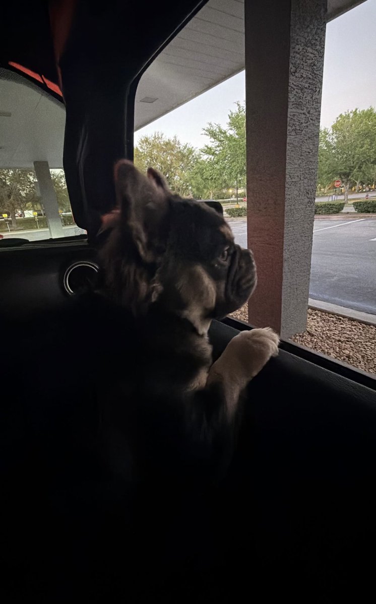 Spoiled & Dangerous.౨ৎ NOT @Tiffstrattonwwe. tweet media