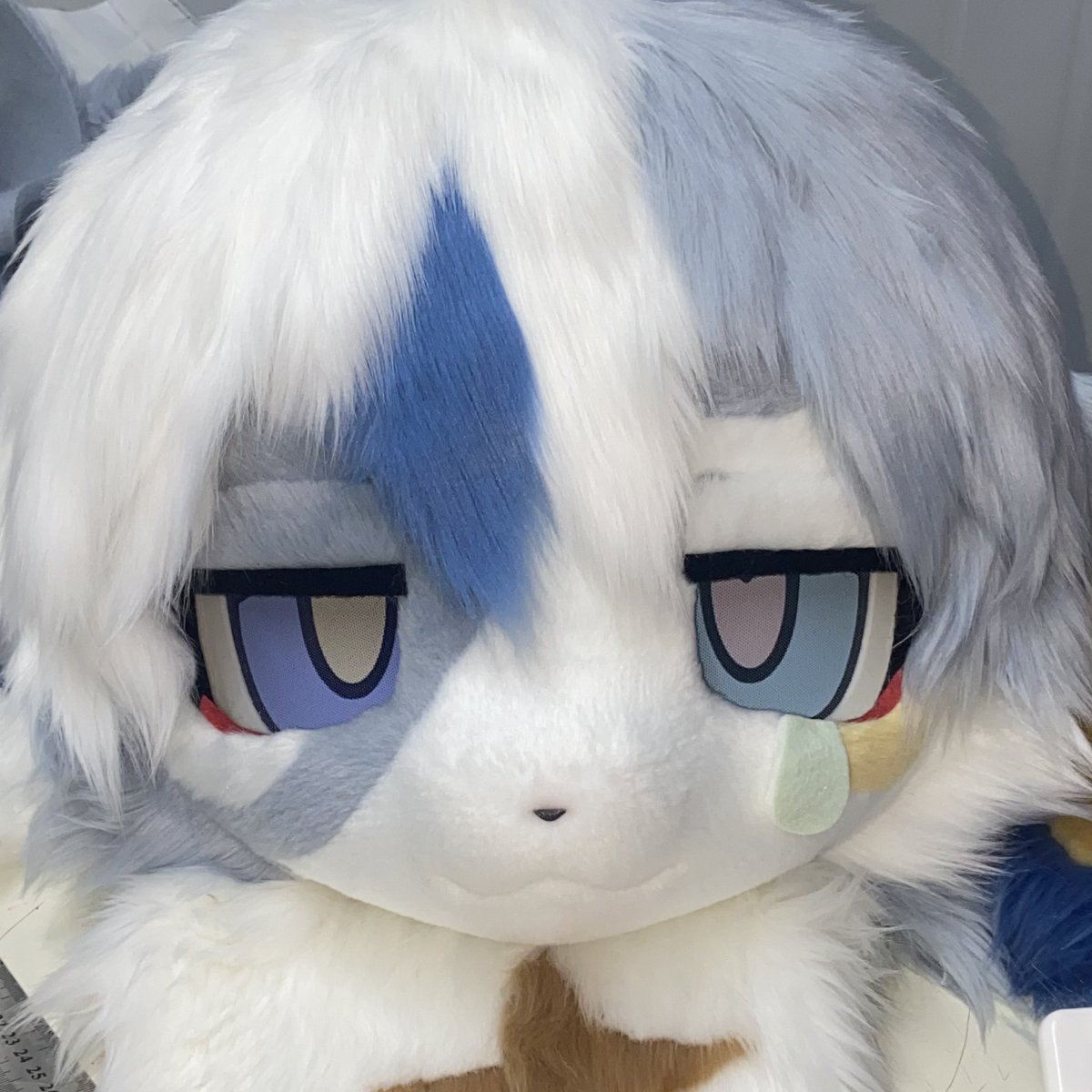 챠무🔜Furst Class tweet media