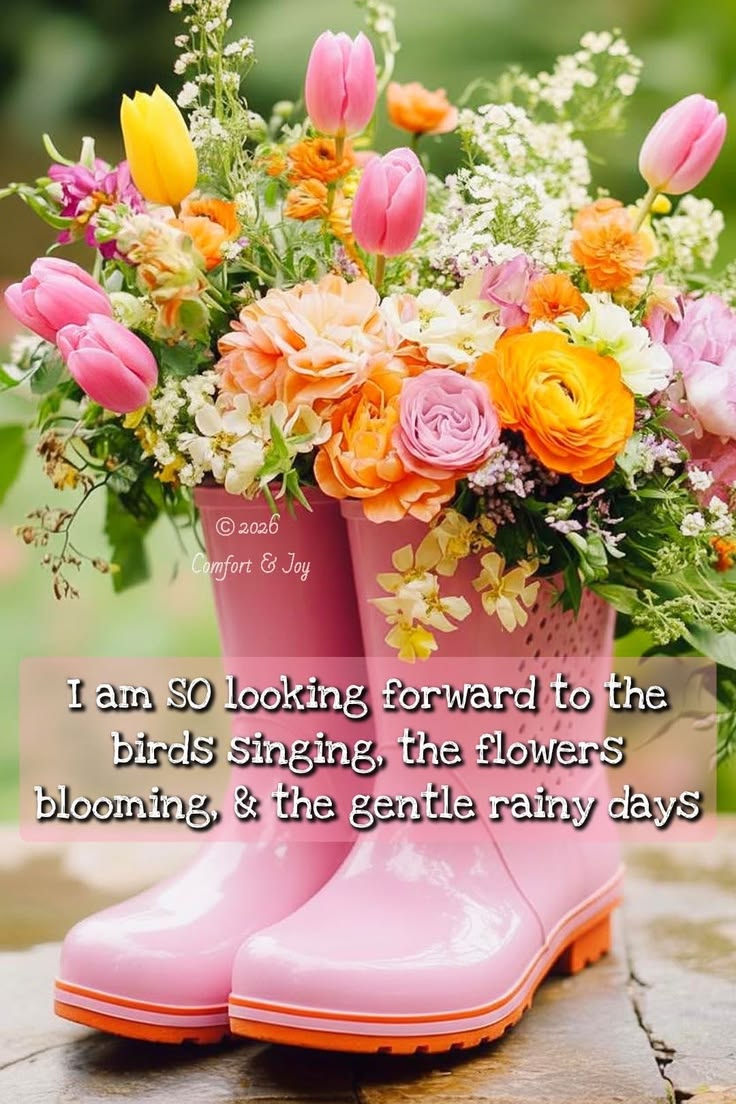 Karen Creek tweet media