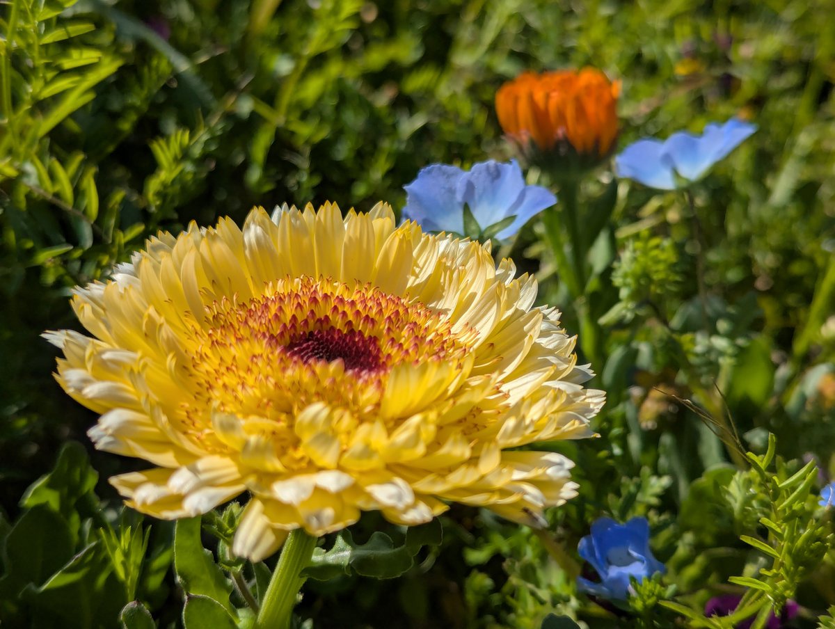 旅先での写真 tweet media