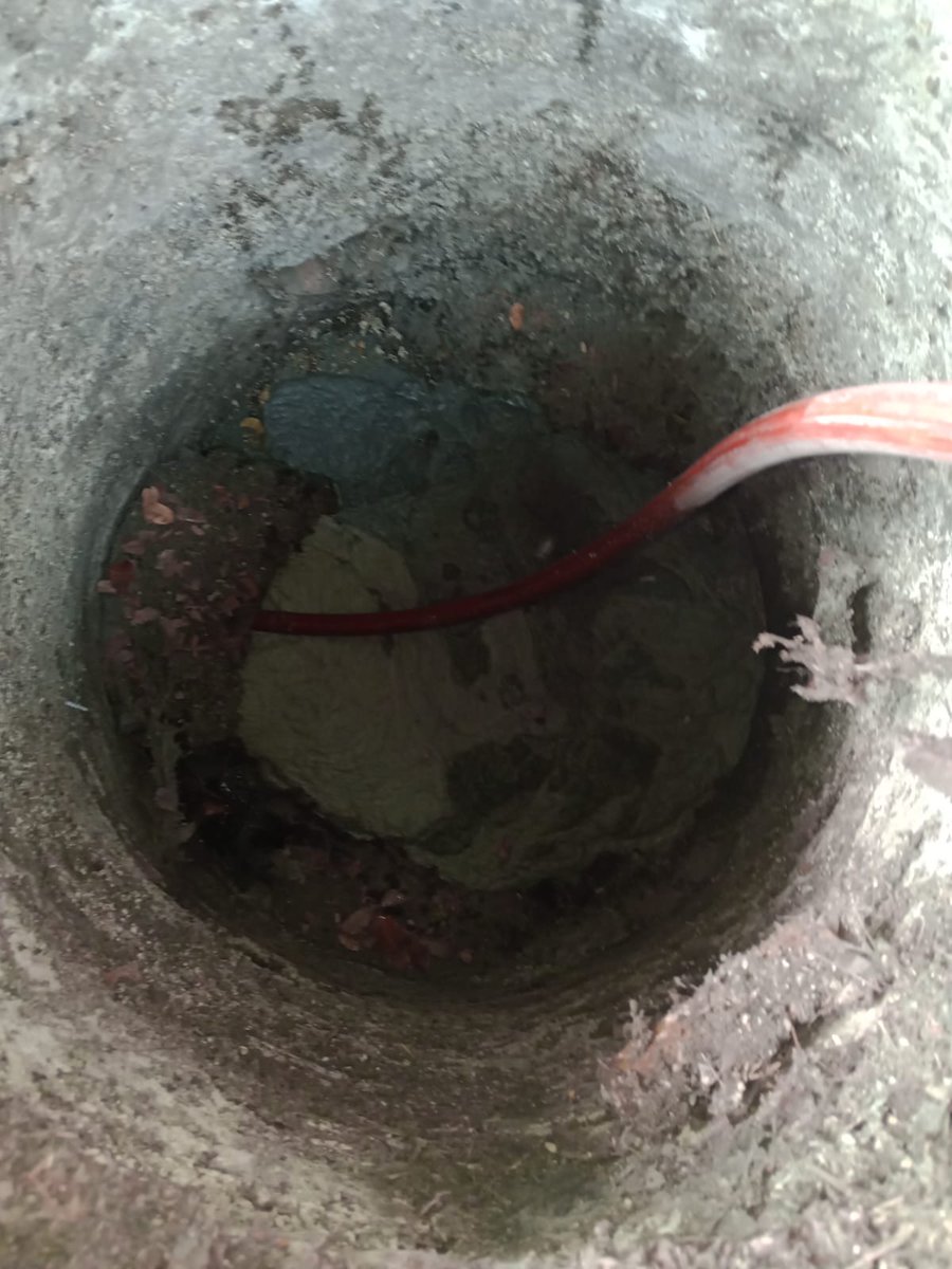 Territorial Roma Condesa tweet media