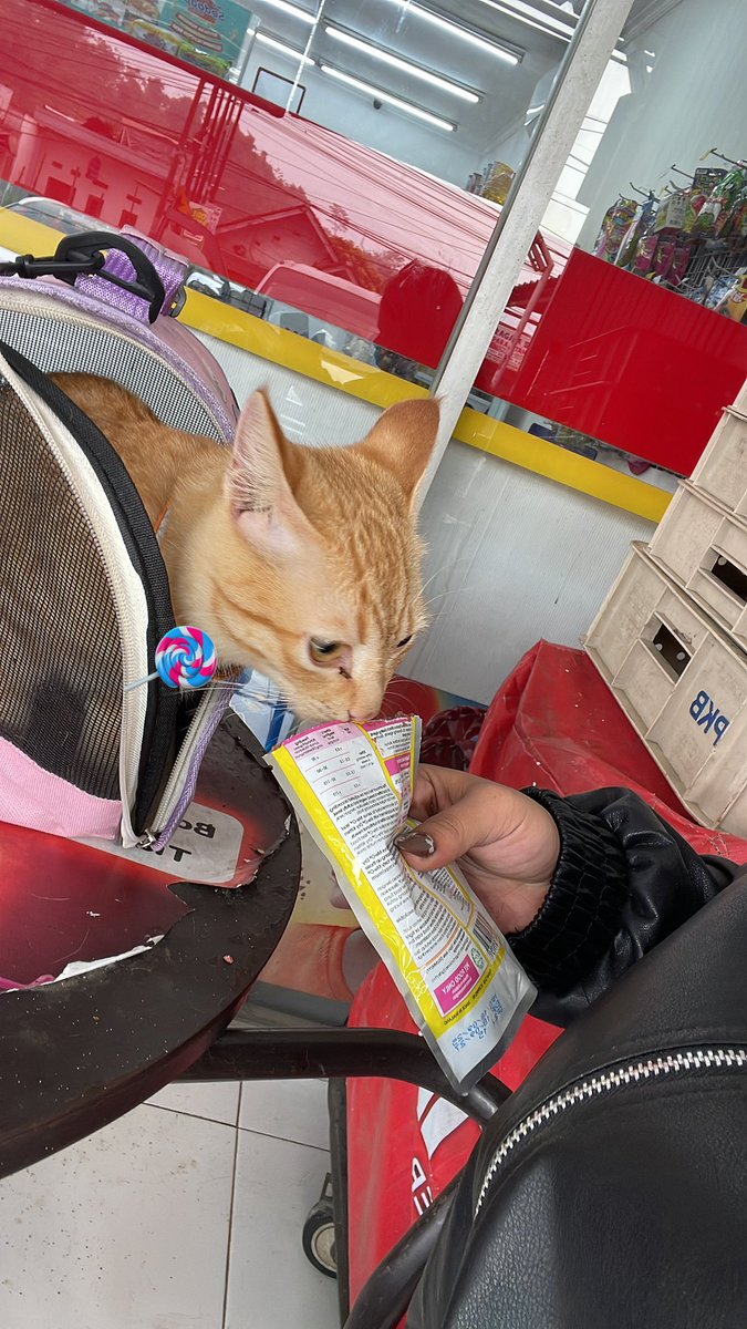 capcipcup🍭 tweet media