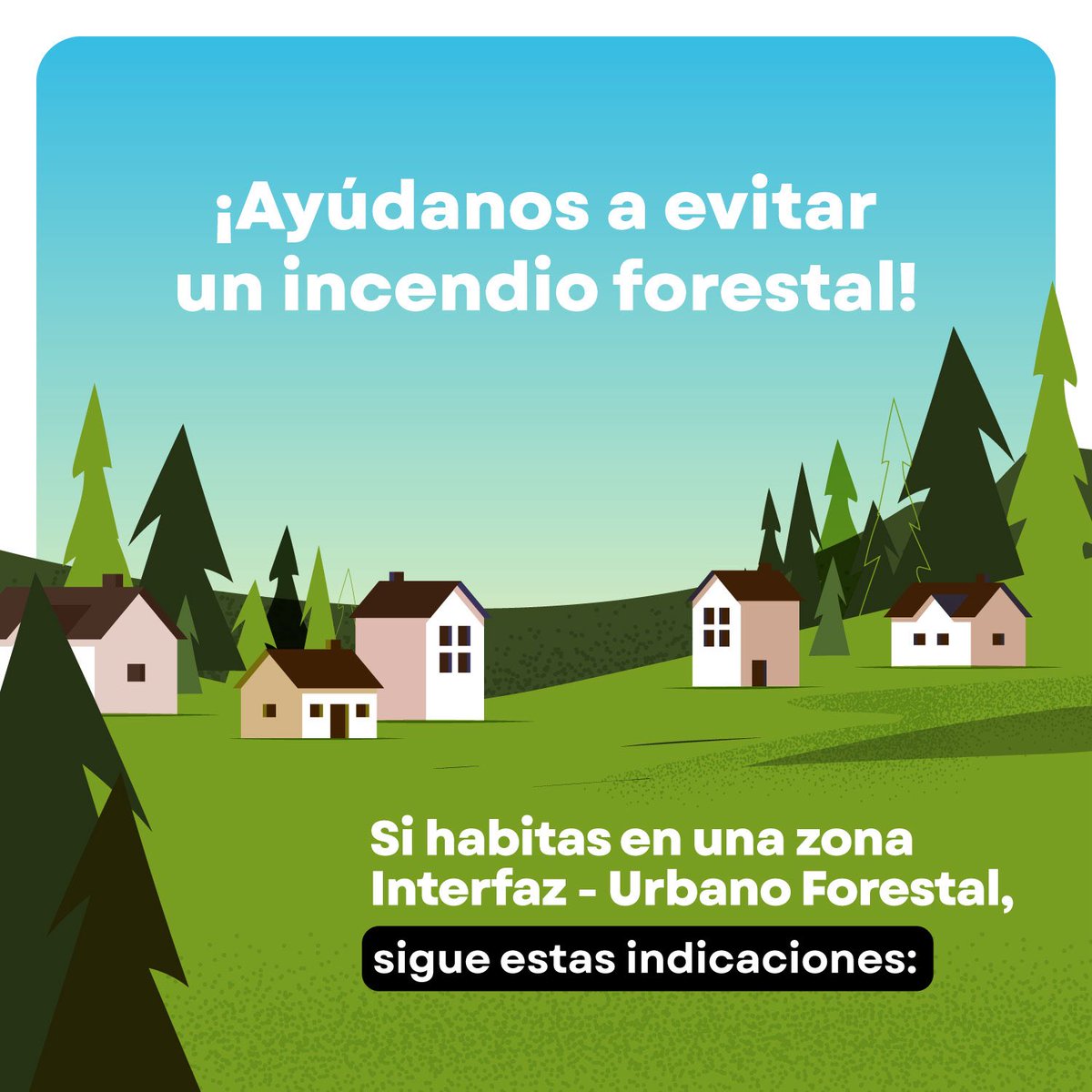 Bosque La Primavera tweet media