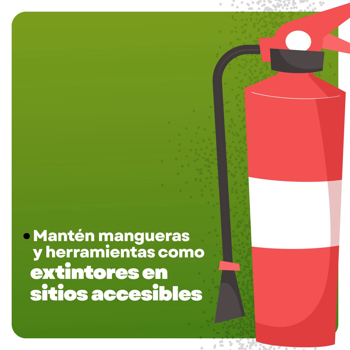 Bosque La Primavera tweet media