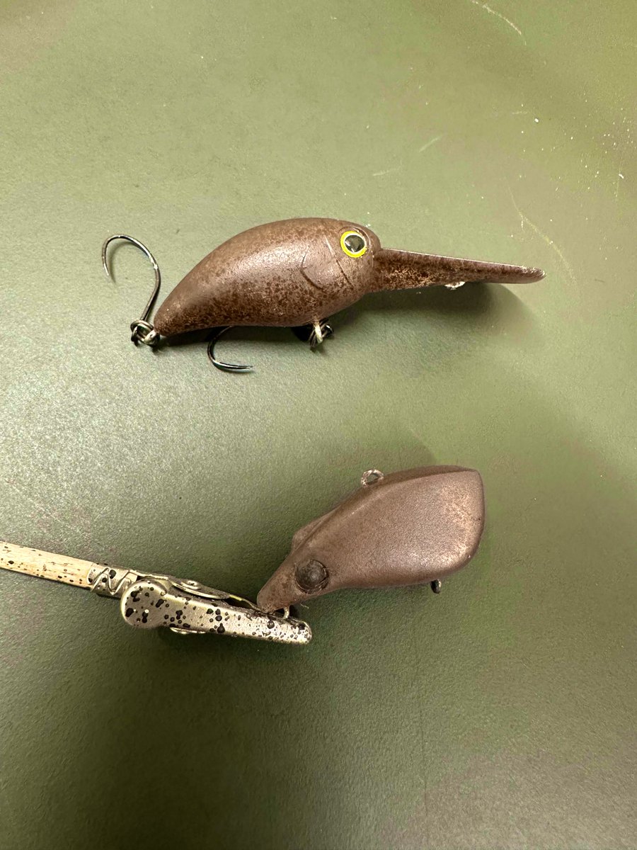 ムギ&ぽん太 tweet media