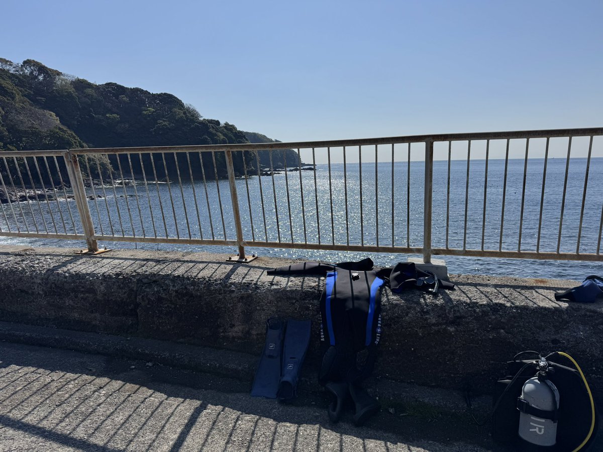 らずろ tweet media