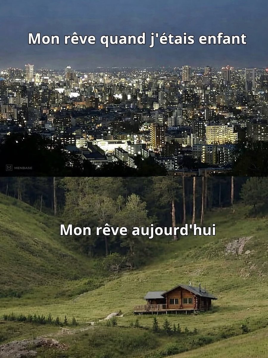 Le Contemplateur tweet media