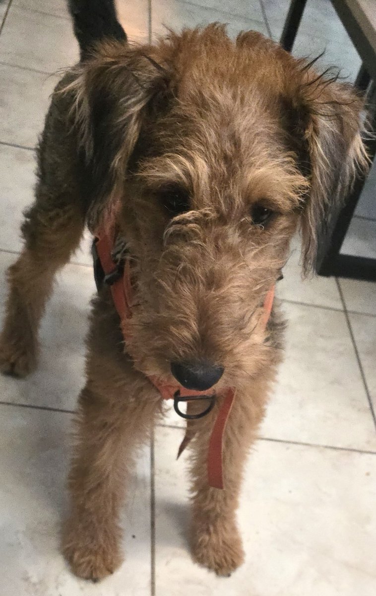 The Fantasy Brat tweet media