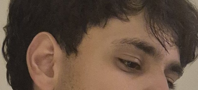 Wolfelipe tweet media