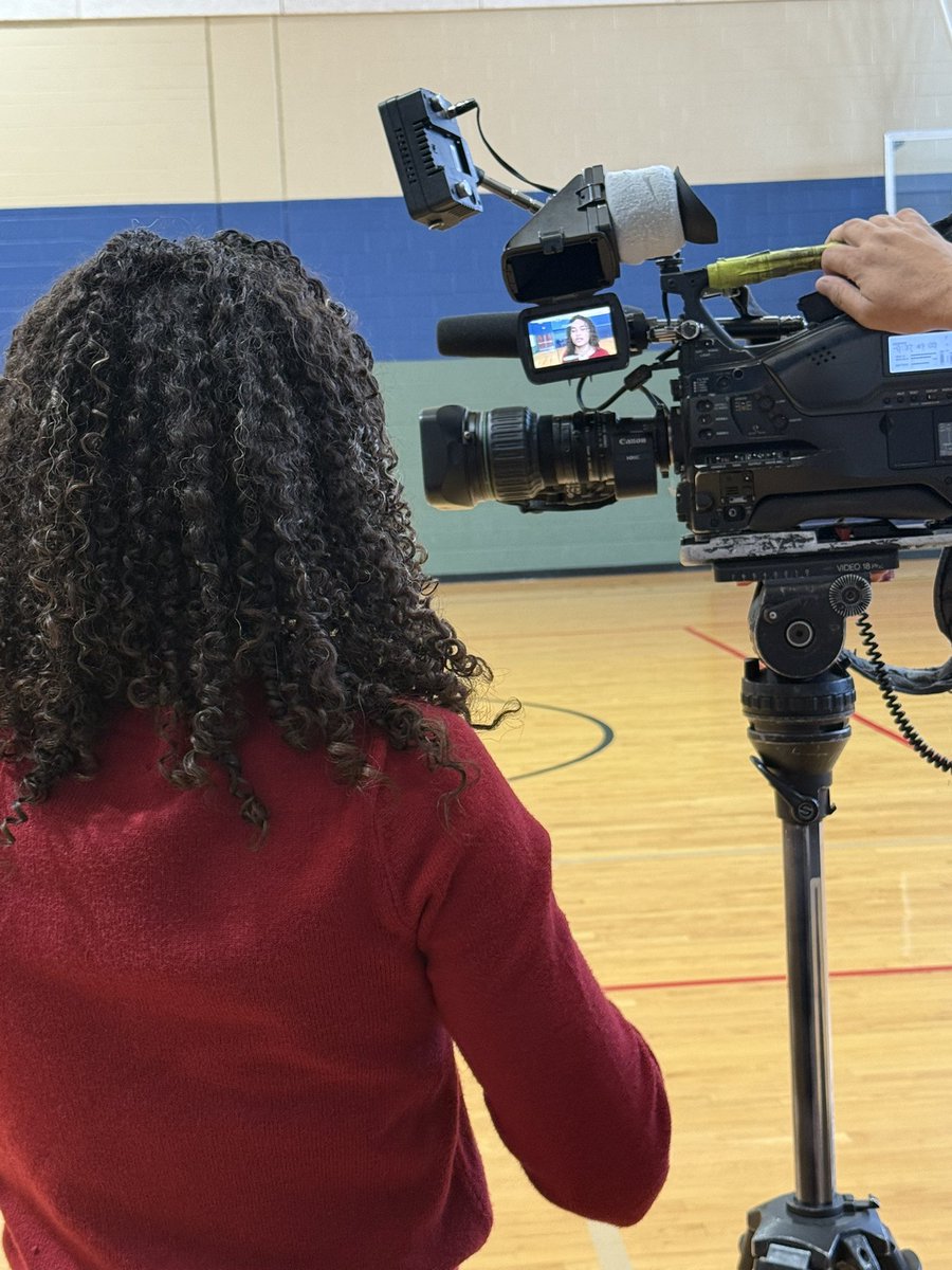 Lady Falcon Hoops tweet media