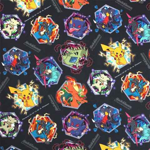 🆕ポケットモンスター オックス生地 バトル柄 ＼ 【限定50店舗