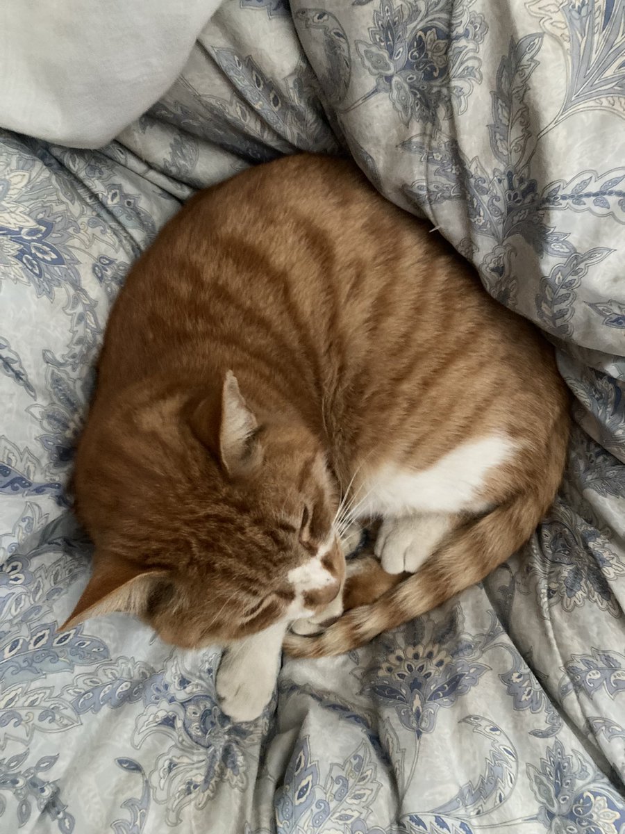 古籏一浩 tweet media