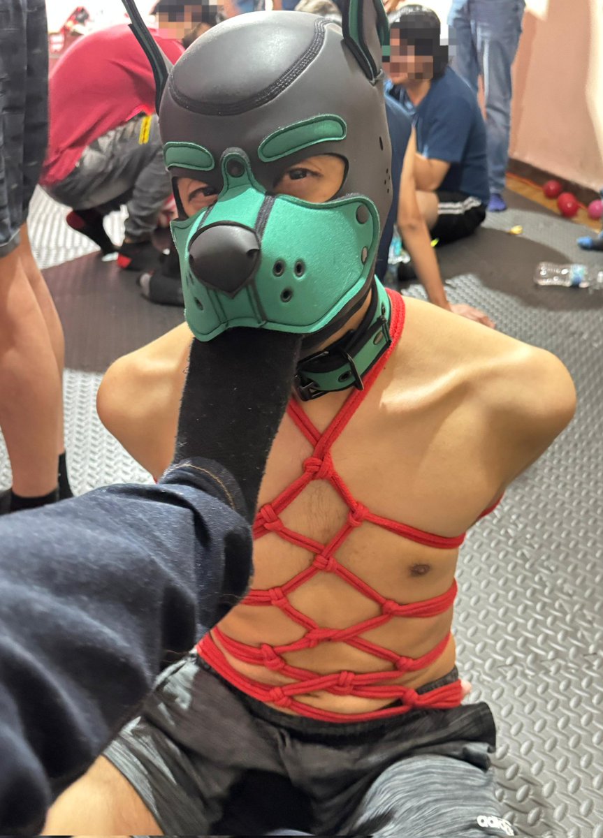 Feßelknoten tweet media