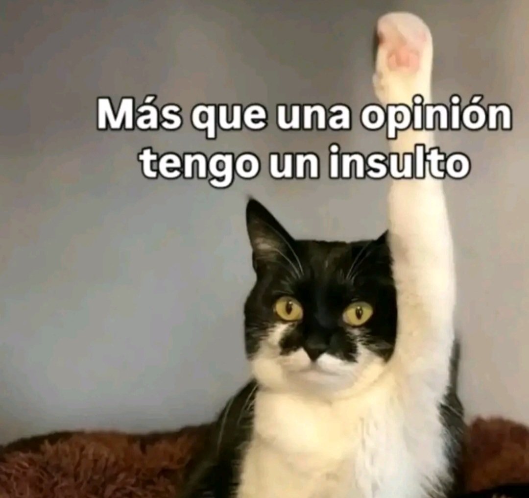 beto cuevas tweet media