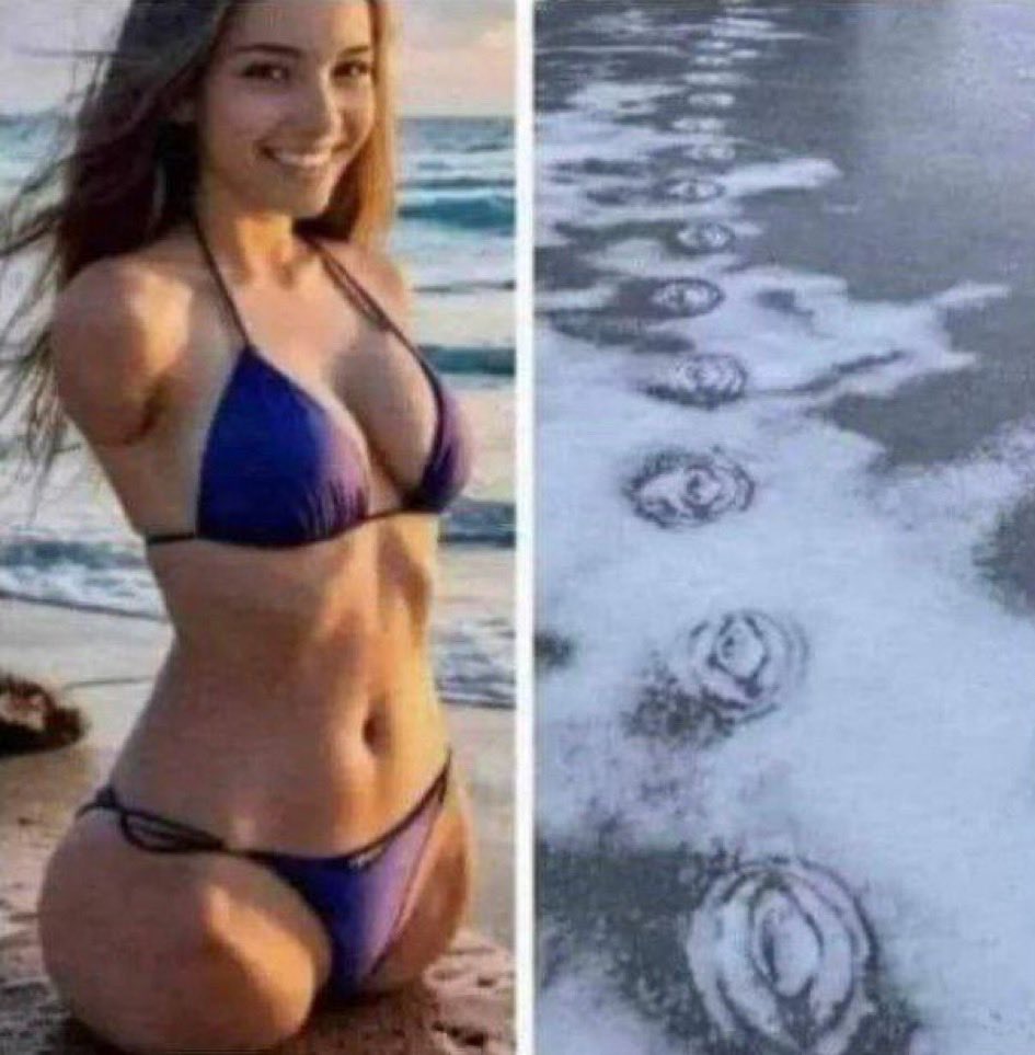 Stoneballs Jackson tweet media