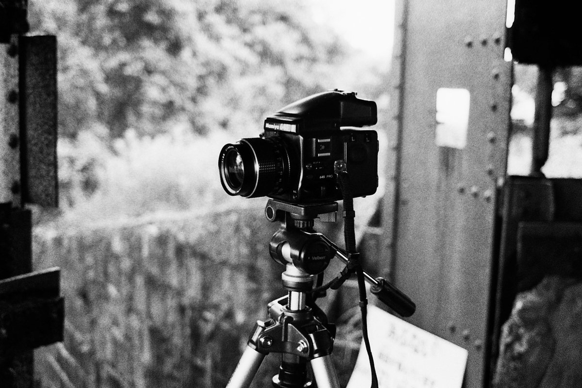 VØNPhoto tweet media