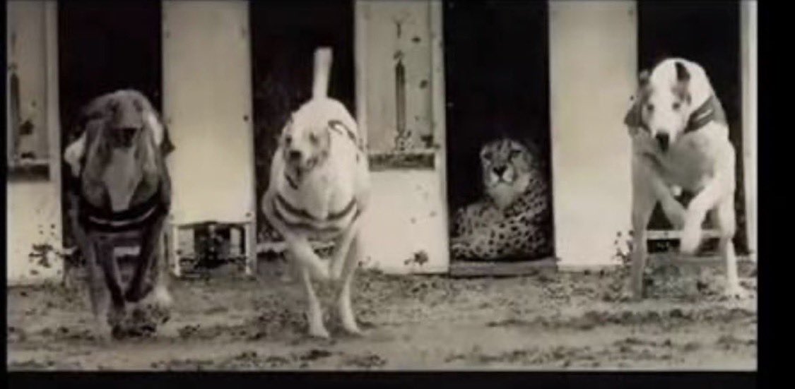 monster musume s2 tweet media