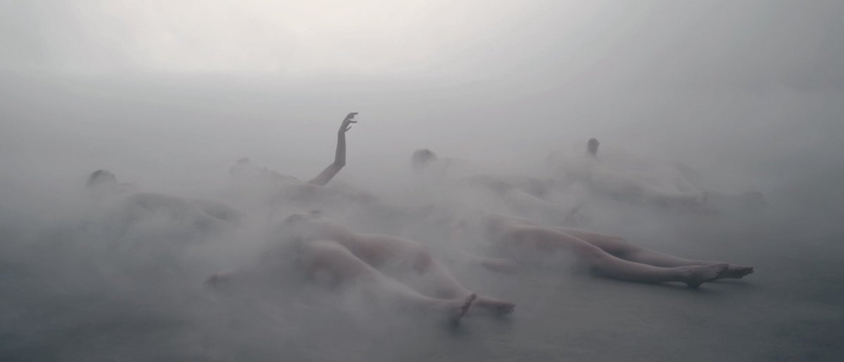 Dustin Hollywood tweet media