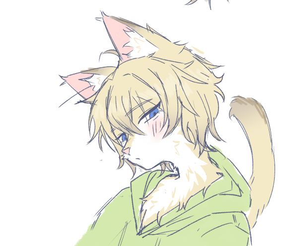 PHeco 페코! tweet media