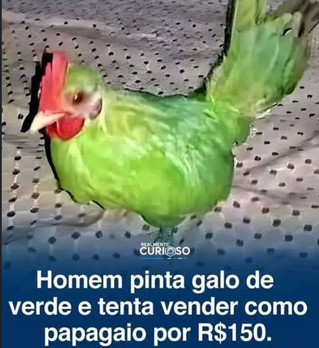 tfpn lucas tweet media