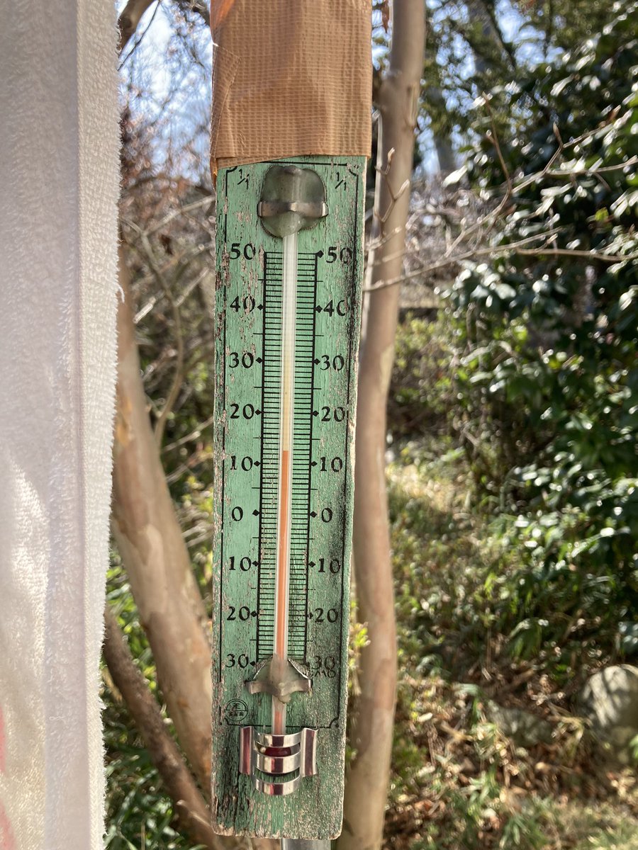 古籏一浩 tweet media