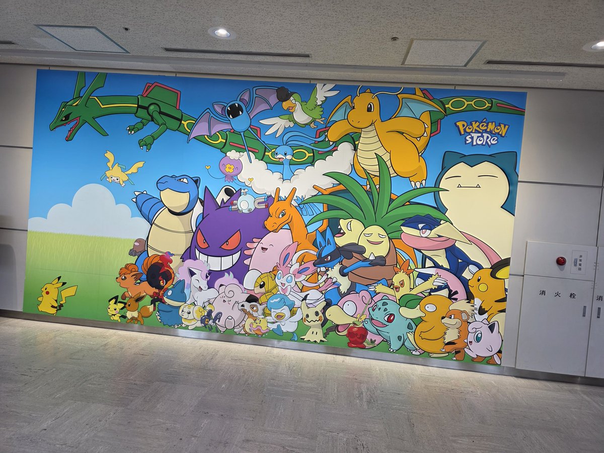 솜솜이@韓계 tweet media